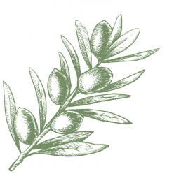 Olive oil composition olive branch