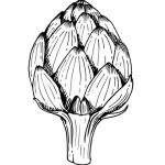 artichoke_olive_epitome