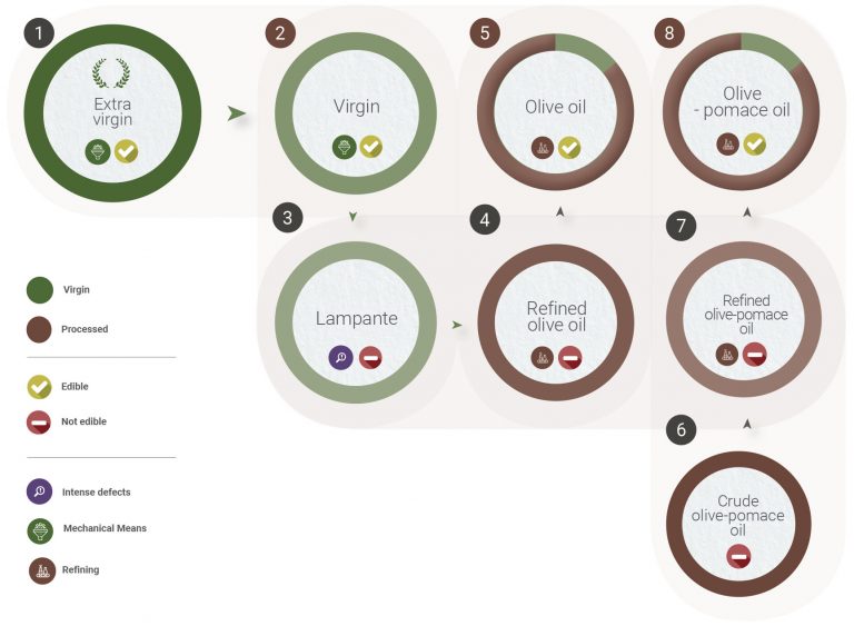 Olive oil categories The different types of Olive Oil Olive Epitome