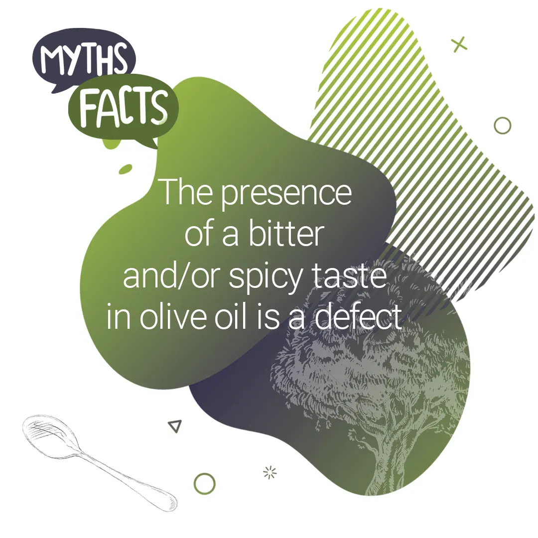 myths and facts taste of olive oil