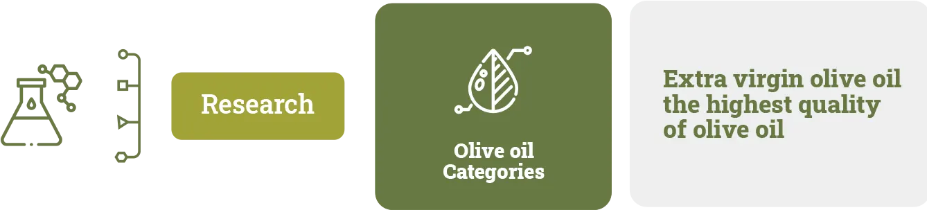 Research Header Olive Oil Categories