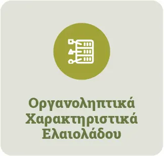 Έρευνα οργανοληπτικά χαρακτηριστικά ελαιολάδου Olive Epitome
