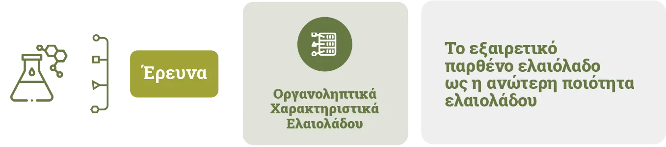 Έ&rho;&epsilon;&upsilon;&nu;&alpha; &kappa;&epsilon;&phi;&alpha;&lambda;ί&delta;&alpha; &omicron;&rho;&gamma;&alpha;&nu;&omicron;&lambda;&eta;&pi;&tau;&iota;&kappa;ά &chi;&alpha;&rho;&alpha;&kappa;&tau;&eta;&rho;&iota;&sigma;&tau;&iota;&kappa;ά &epsilon;&lambda;&alpha;&iota;&omicron;&lambda;ά&delta;&omicron;&upsilon; Olive Epitome