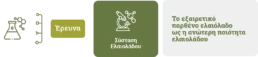 Έ&rho;&epsilon;&upsilon;&nu;&alpha; &kappa;&epsilon;&phi;&alpha;&lambda;ί&delta;&alpha; &sigma;ύ&sigma;&tau;&alpha;&sigma;&eta; &epsilon;&lambda;&alpha;&iota;&omicron;&lambda;ά&delta;&omicron;&upsilon; Olive Epitome