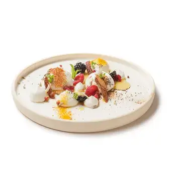 yogurt recipe with extra virgin olive oil