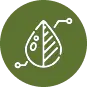 icon for Olive Oil categories
