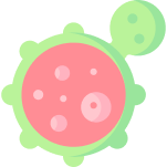 Εξαιρετικό παρθένο ελαιόλαδο Μπορεί να βοηθήσει στην καταπολέμηση του καρκίνου